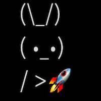 Bunny Rocket