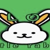 ELON LITTLE RABBIT