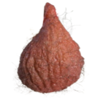 BALLSACK