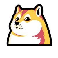 Doge Busd INU