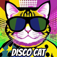 DISCO CAT