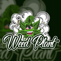 🌱 Weed Plant 🌱