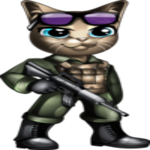 CATFORCE
