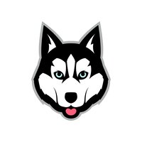 Balto Token