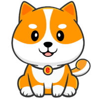 Shiba Floki