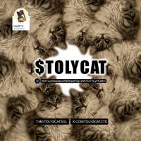 Toly's Cat