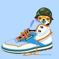 SNEAKERS&DOGE
