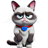 GRUMPYKAT