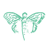 Cicada Cash
