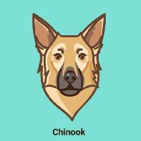 Chinook Inu