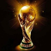 FIFA FAN