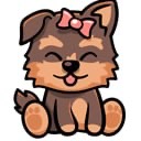 YORKIE COIN