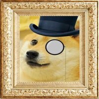DogeNFTcollector.com