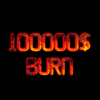 100000$ DOLLARS BURN