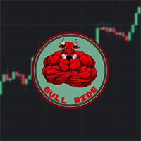 BULL RIDE