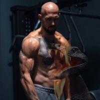 Cobra Tate