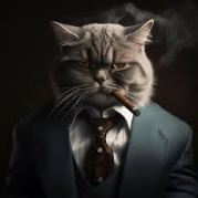 Sir pus