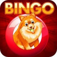 Bingoswap