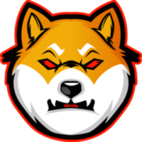FLASHI SHIBA INU