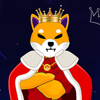 KingCosmoShib