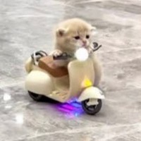 SCOOTY
