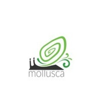 MOLLUSCA