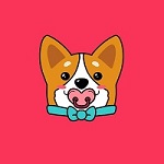 Baby Doge KaKi