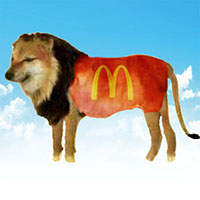 0xee4ae74af2046884d1eedb598a6a2e00cc275ecd