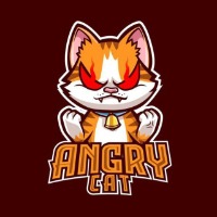 Angry cat