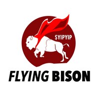 Flying Bison Coin