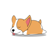 PUPU Token