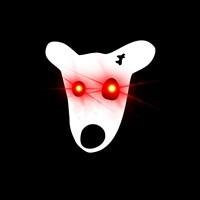 Dogs