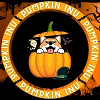 Pumpkin Inu