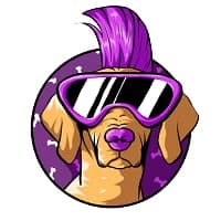 Doge Metavers