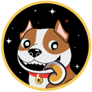 PITBULL INU