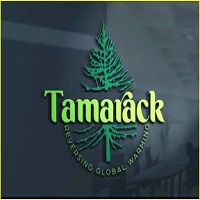 tamarackfinance