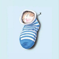 Cats on Socks