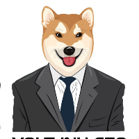 VOLTINU CEO
