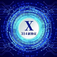 X314