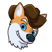 Cowboy Shiba