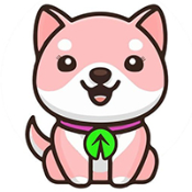 Baby Rise Doge