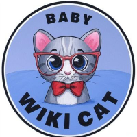 Baby Wikicat bsc