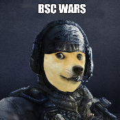 Call of Doge