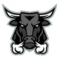 BullMaster