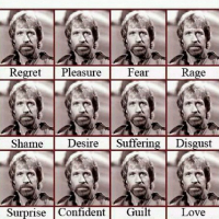 Emotions of Chuck Norris