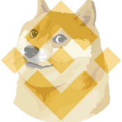 BNBDoge