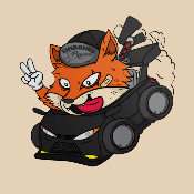 Racer Shiba Inu