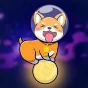 Moon Baby Shiba