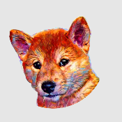 DogeArt