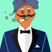 The BMW Server